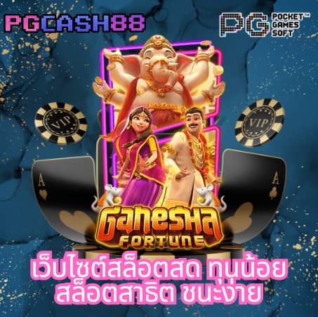 เว็บ แคท888